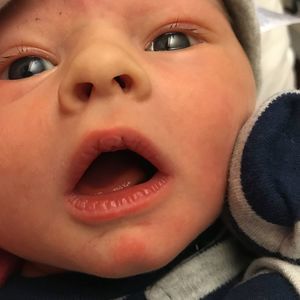 Meet your Posher, Ann